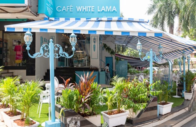 CAFE WHITE LAMA